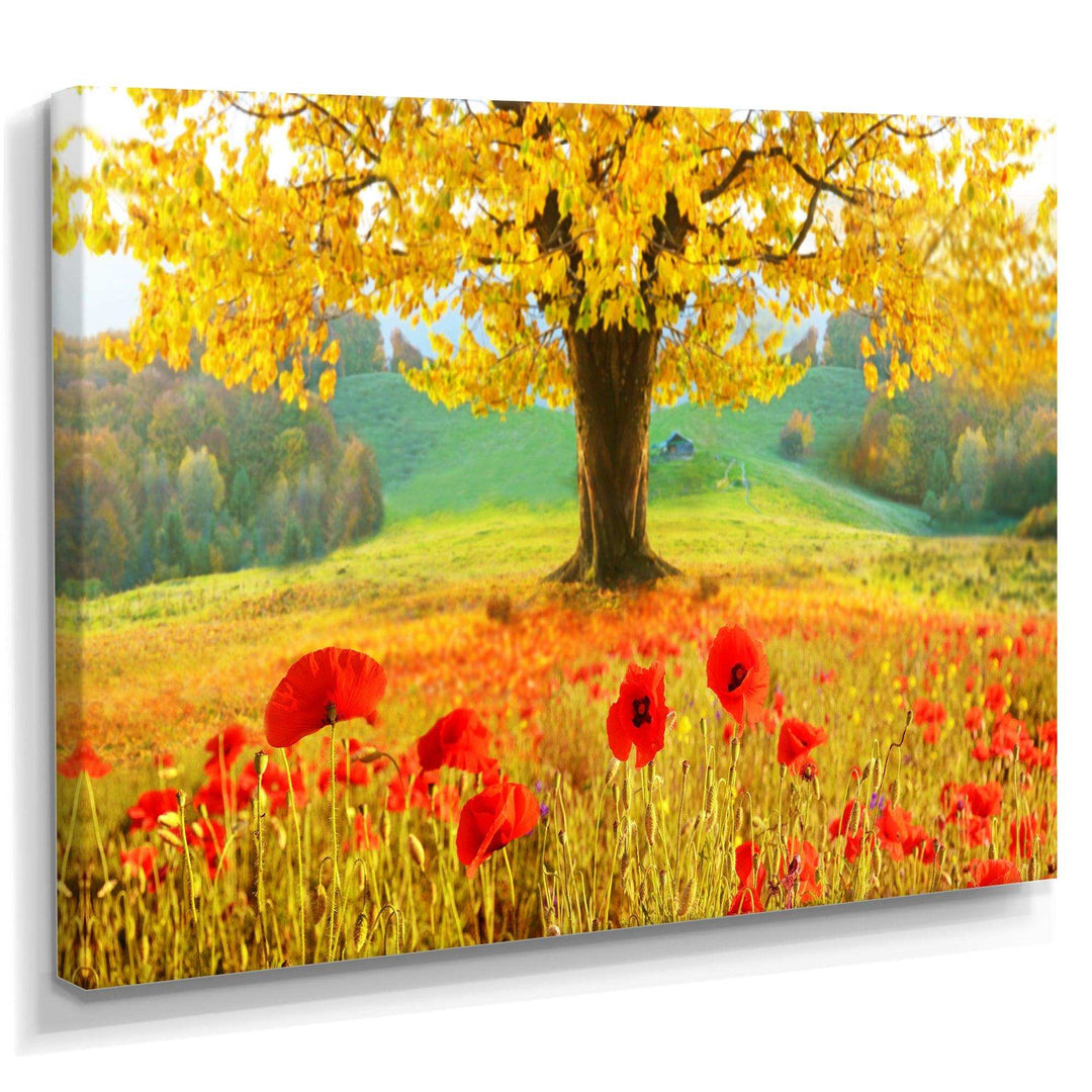 Beautiful Autumn Yellow Tree