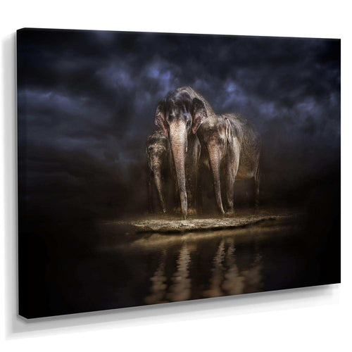 Elephants Watering in the River