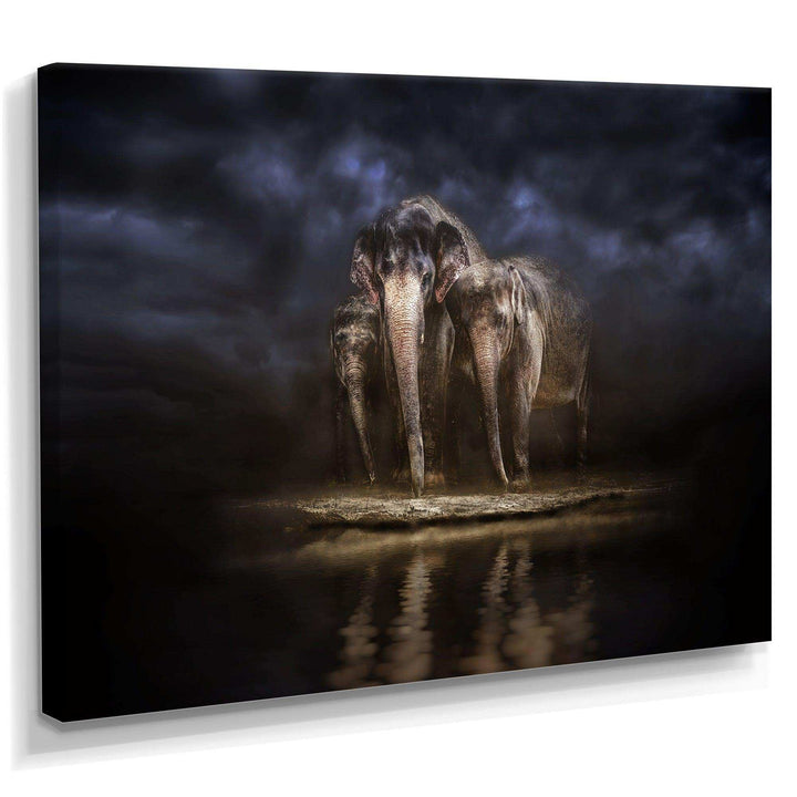 Elephants Watering in the River