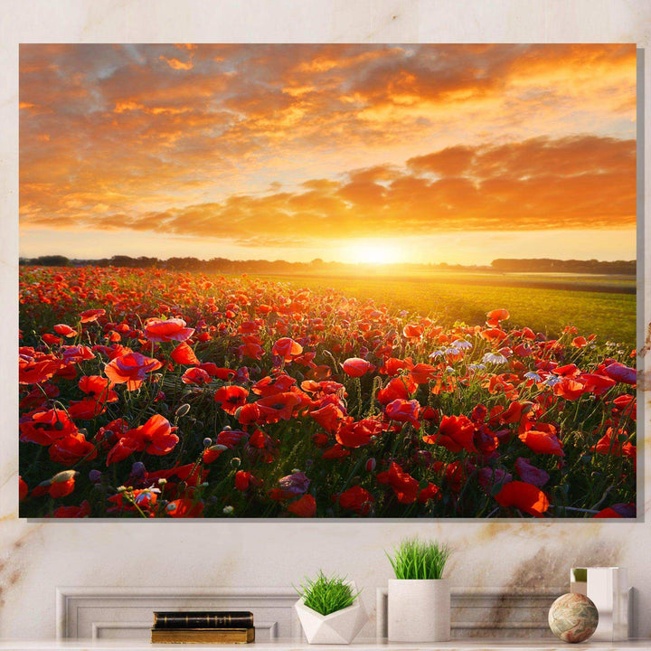 Beautiful Poppy Field at Sunset - Landscapes Wall Art Prints