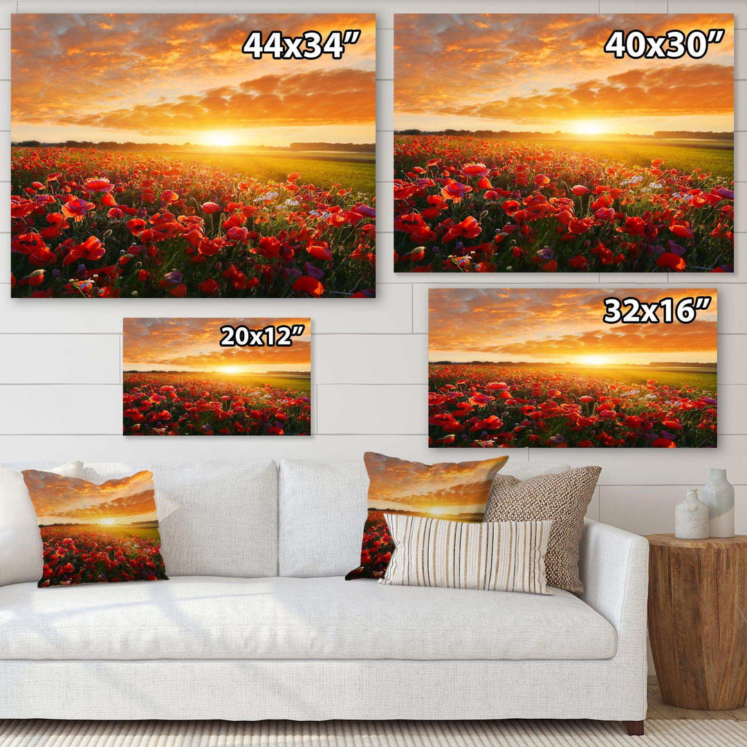 Beautiful Poppy Field at Sunset - Landscapes Wall Art Prints