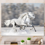Two White Horse