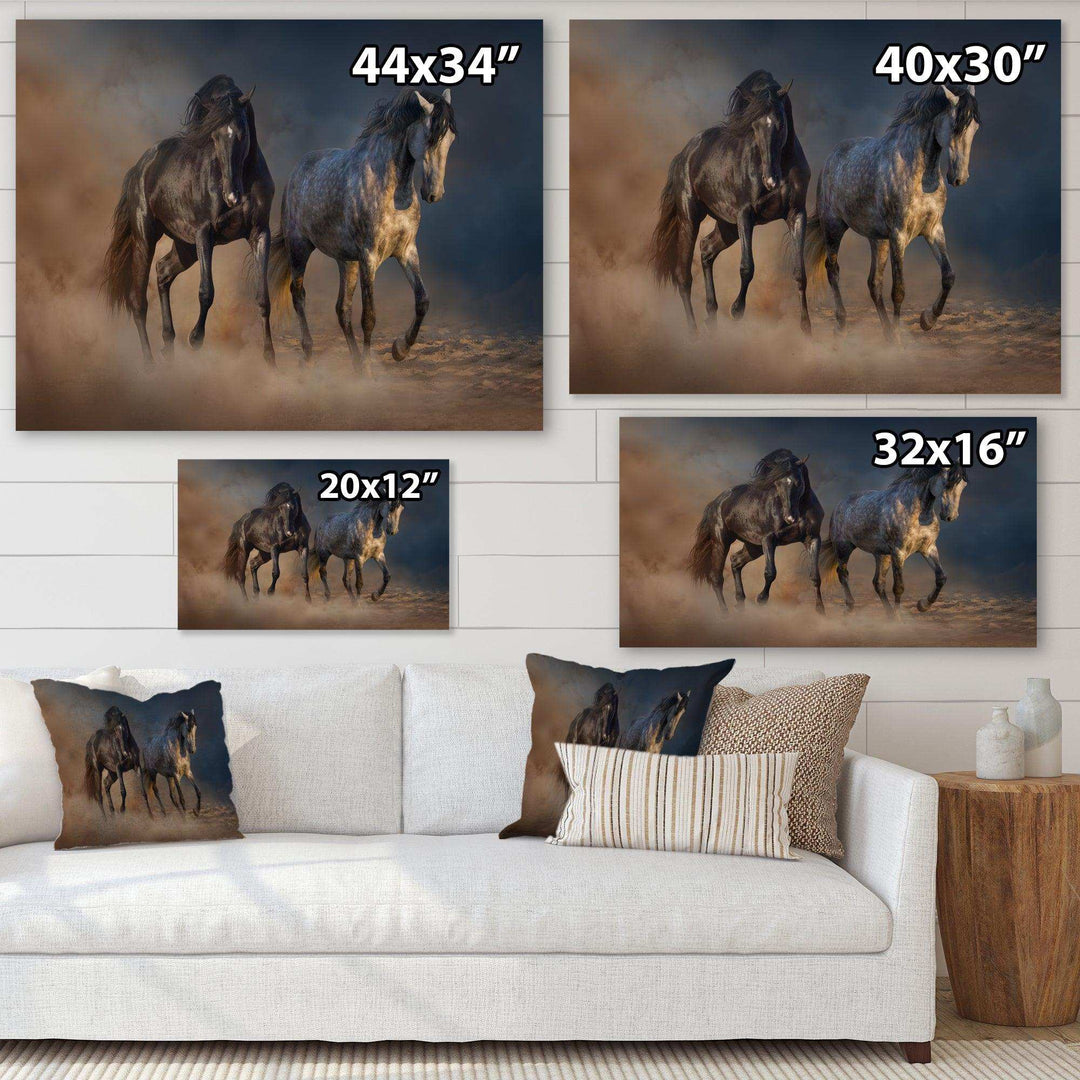 Black and white horse run