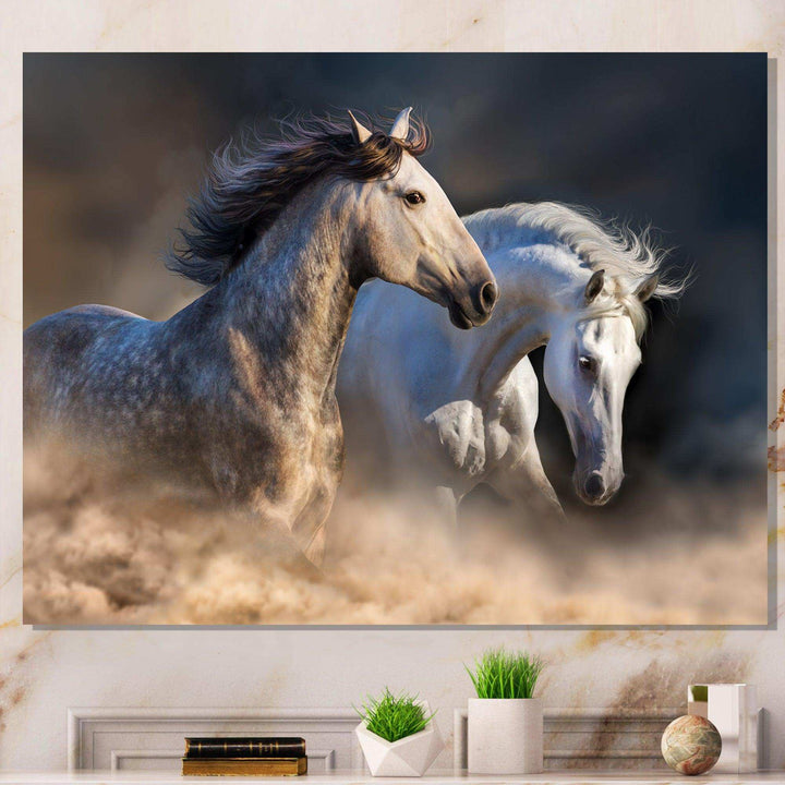 Horses run in dust
