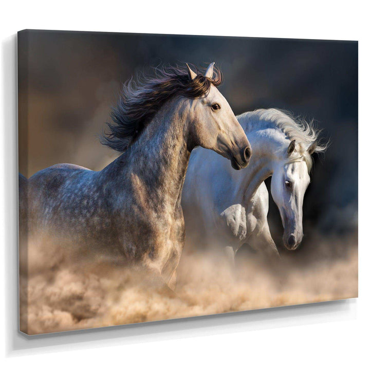 Horses run in dust