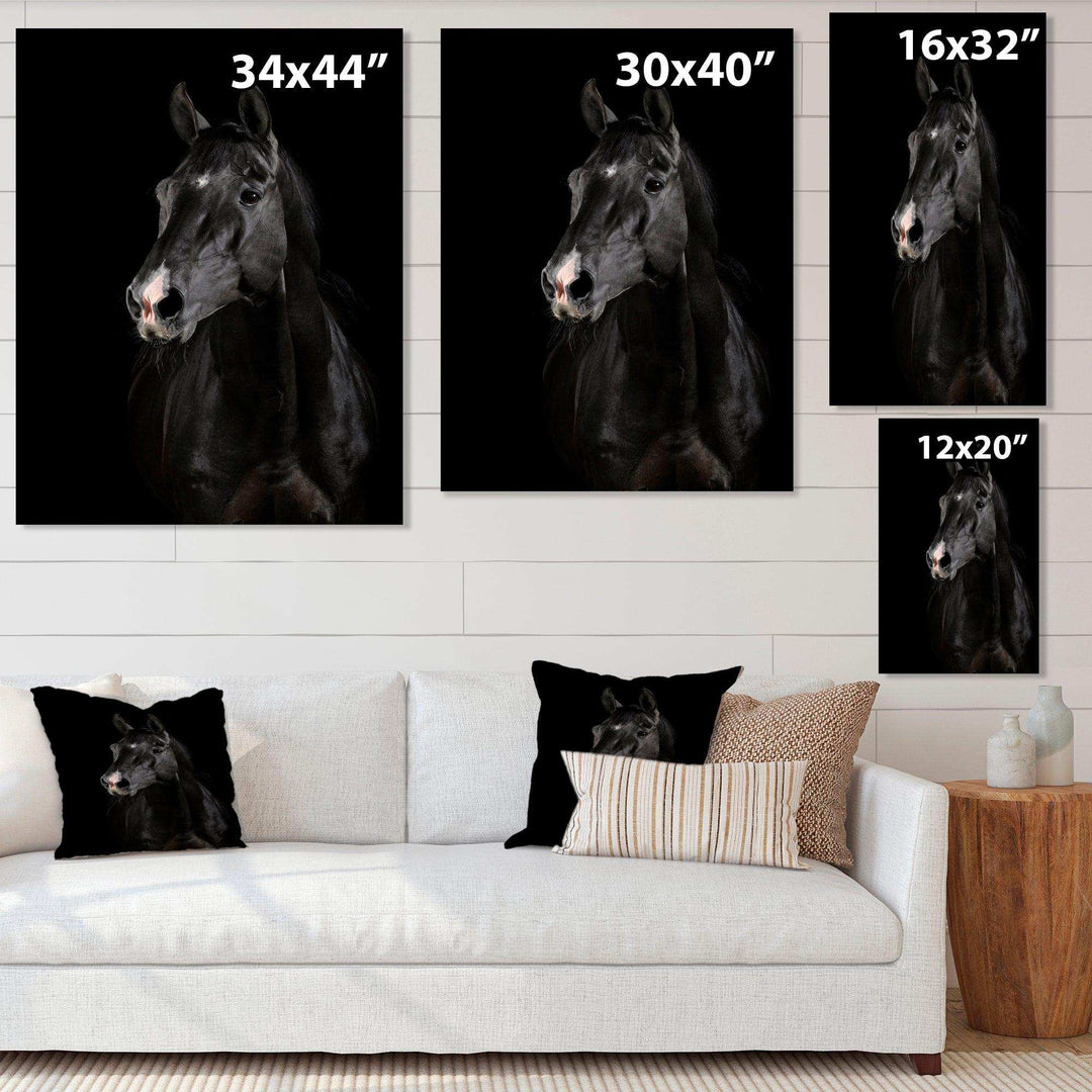 Black horse in darkness