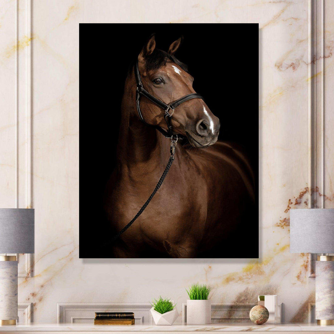Horse Portrait