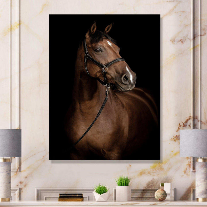 Horse Portrait