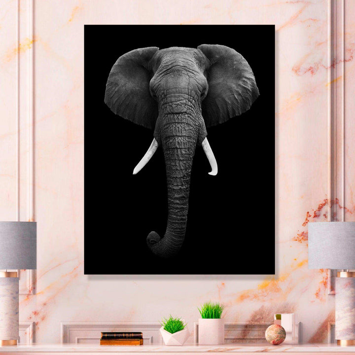African Elephant