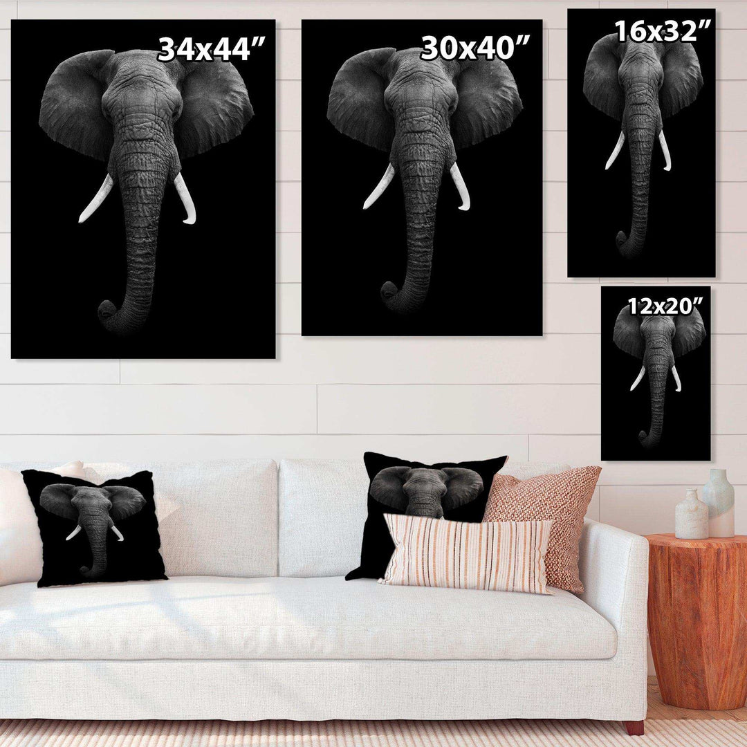 African Elephant