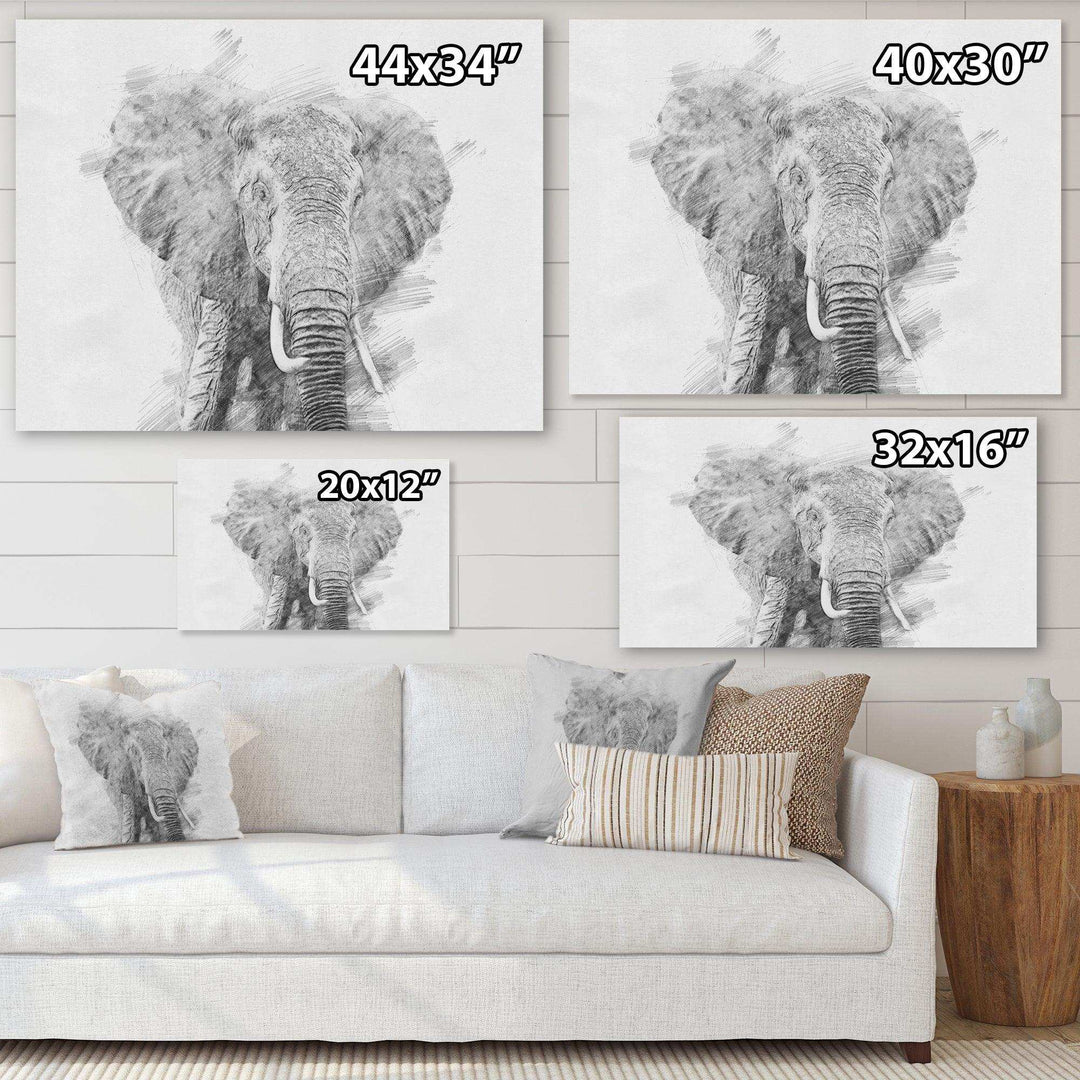 Black and White Elephant Sketch - Traditional Living Room Wall Decor