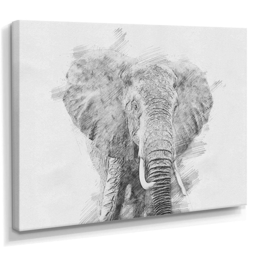 Black and White Elephant Sketch - Traditional Living Room Wall Decor