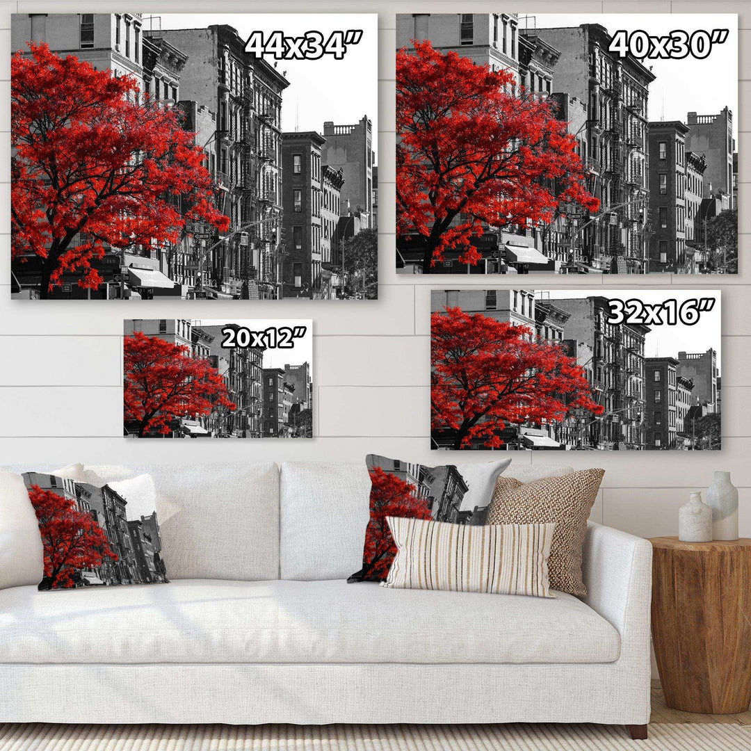 Red Tree on Black and White New York City Street