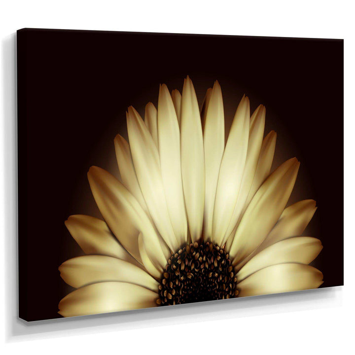 Sunflower in Black background - Floral Canvas Wall Art