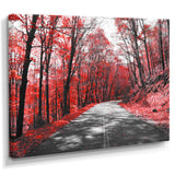 Patch in Red Forest