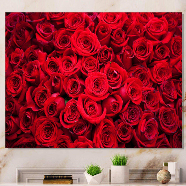 Winter Red Rose