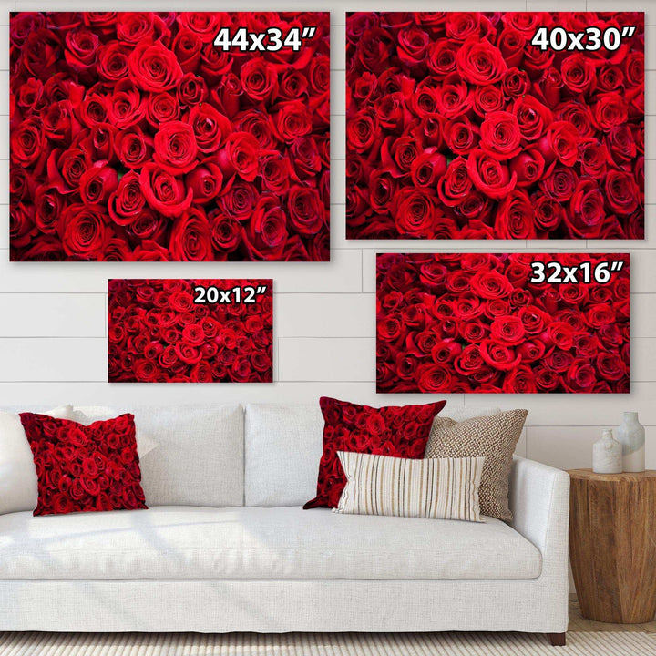 Winter Red Rose