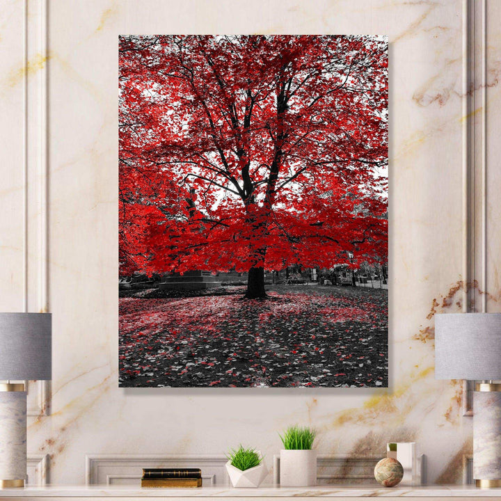 Red Tree in Central Park