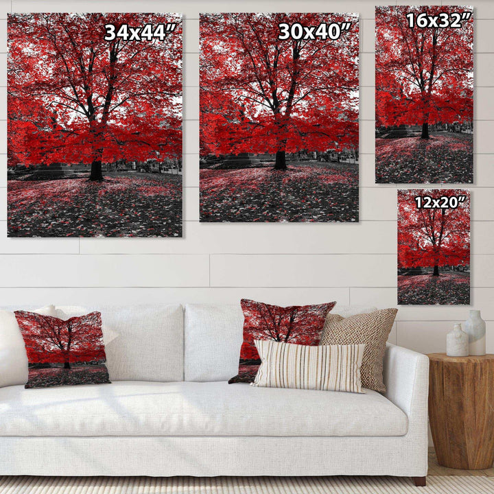Red Tree in Central Park