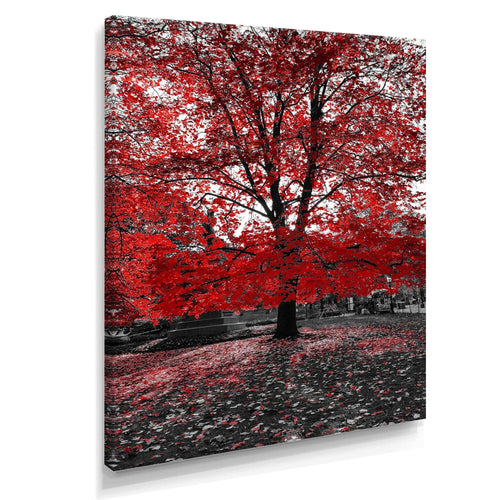Red Tree in Central Park