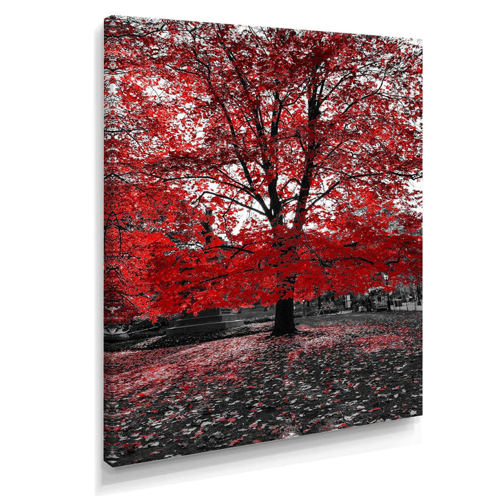 Red Tree in Central Park