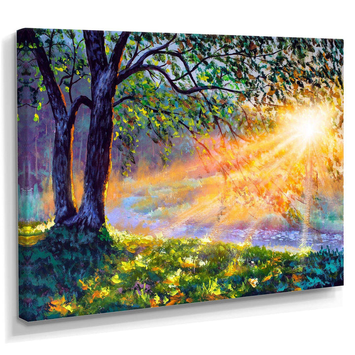 Dawn Sunshine Light By The River