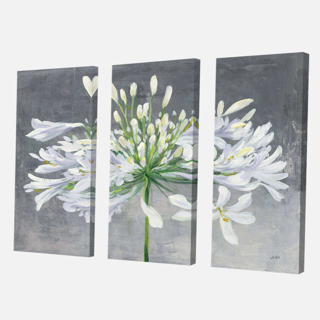 Flower Cleome Splash I - Cottage Multi-Panels Wall Art 3 Prints