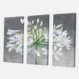 Flower Cleome Splash I Traditional Floral Canvas Artwork - 36x28 - 3 Panels