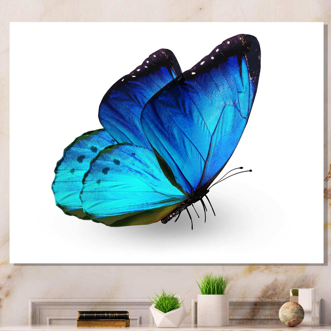 Vibrant Blue Butterfly