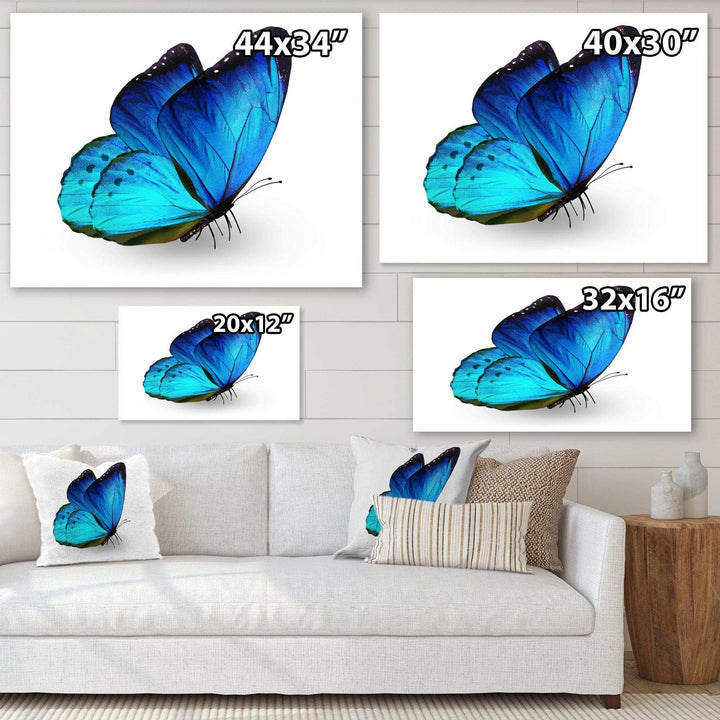 Vibrant Blue Butterfly