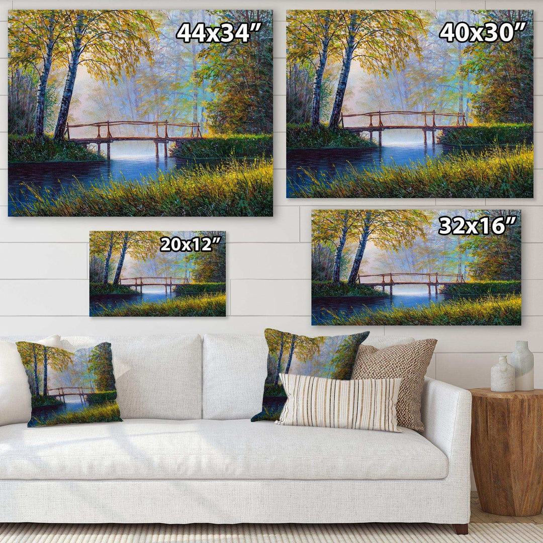 Morning Sunlight and The Awakening Spring Forest