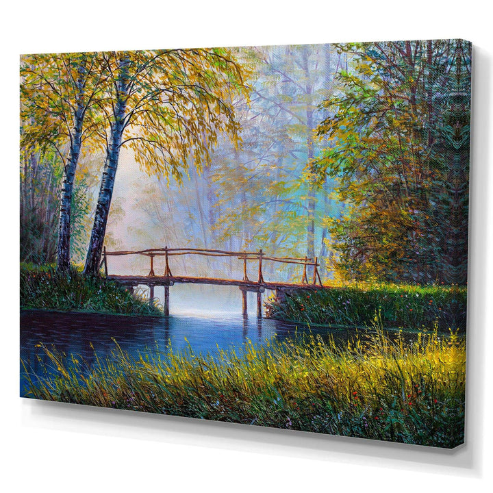 Morning Sunlight and The Awakening Spring Forest