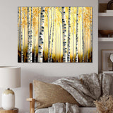 Golden Birch Trees Forest II