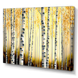 Golden Birch Trees Forest II