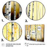 Golden Birch Trees Forest II