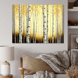 Golden Birch Trees Forest III