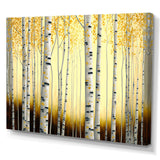 Golden Birch Trees Forest III