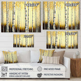 Golden Birch Trees Forest III