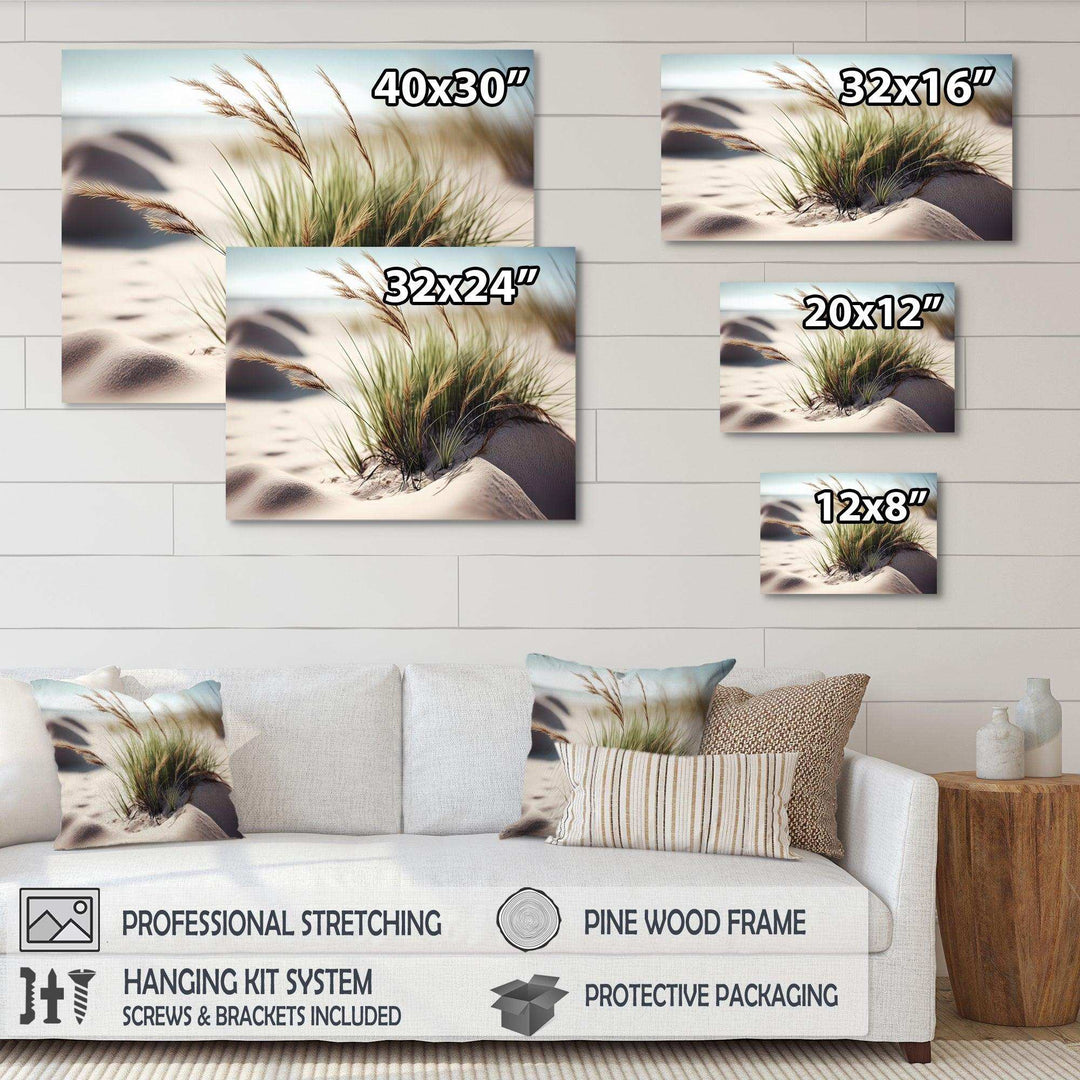 Grass On Sand Dunes II