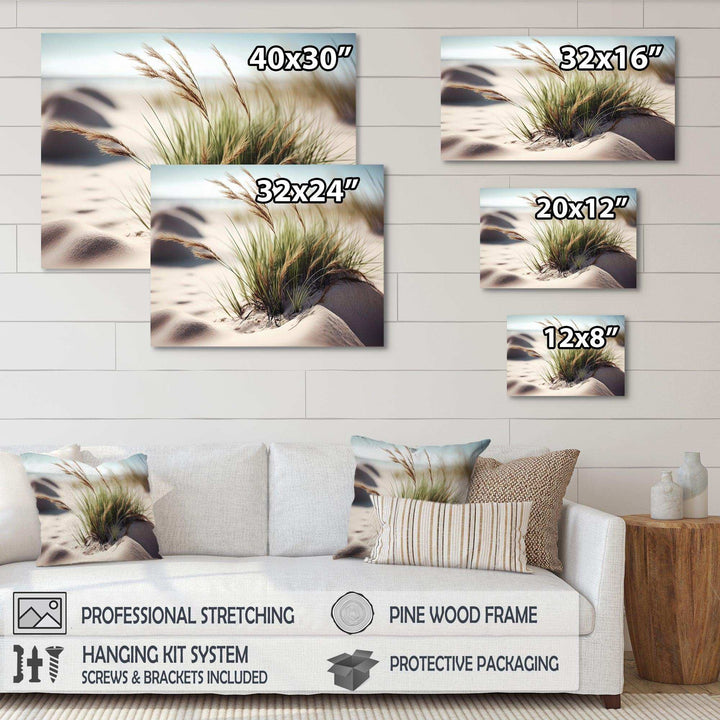Grass On Sand Dunes II