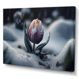 A Blooming Multicolor Tulip Flower In Winter II Canvas Canvas