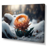 A Blooming Orange Dahlia Flower In Winter II Canvas Canvas