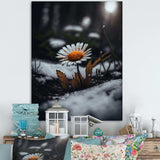 A Blooming Orange Daisy Flower In Winter I