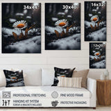 A Blooming Orange Daisy Flower In Winter I Canvas Canvas