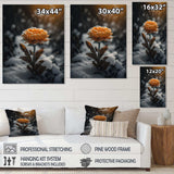 A Blooming Orange Marigold Flower In Winter III Canvas Canvas