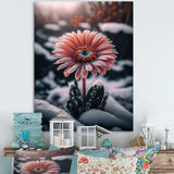 A Blooming Pink Gerbera Flower In Winter II