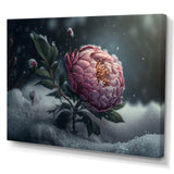 A Blooming Pink Peony Flower In Winter III Canvas Canvas