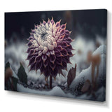 A Blooming Purple Dahlia Flower In Winter III Canvas Canvas