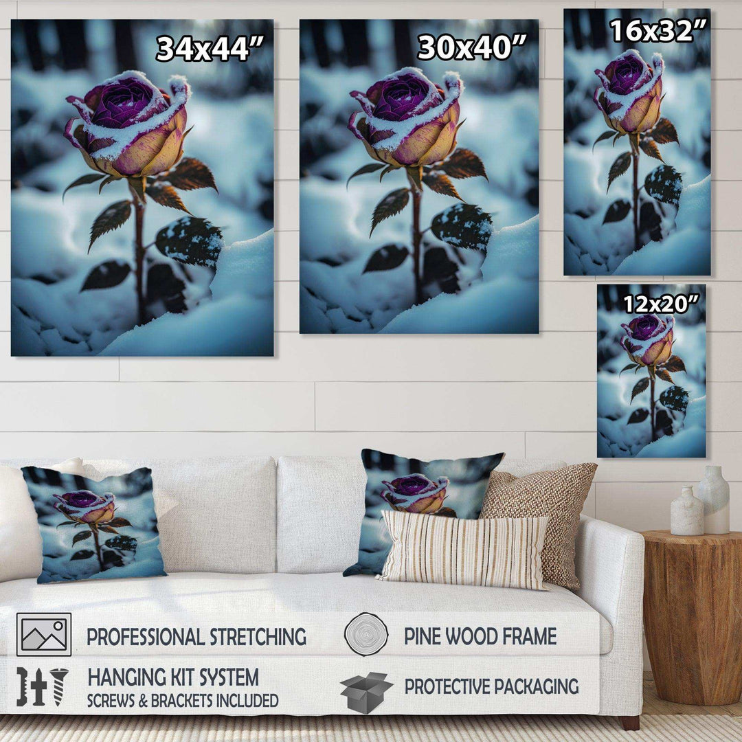 A Blooming Purple Rose Flower In Winter I Canvas Canvas