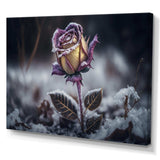 A Blooming Purple Rose Flower In Winter II Canvas Canvas